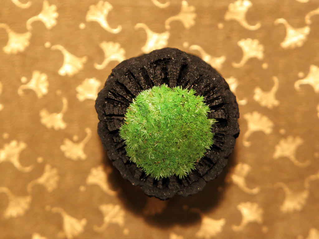 Hotel Asaya Nikko Zewnętrze zdjęcie A green Starburst